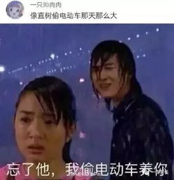 内蒙古等地各大暴雨,我该如何形容