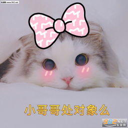 不至于吧大叔阿姨表情包小哥哥小姐姐处对象么软萌表情包下载乐游网游戏下载
