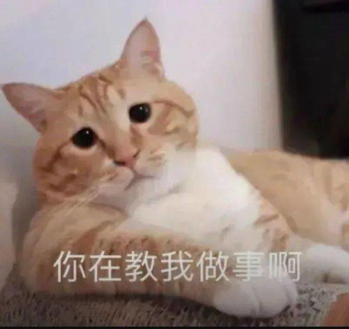 千万别在大一的时候谈恋爱