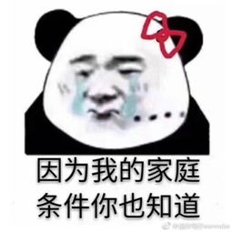 锦鲤文化就此发扬光大每日轻松一刻10月12日晚间版