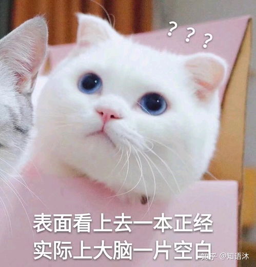 多喝水真的好吗