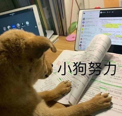 第一次见男票家长,有什么需要注意的