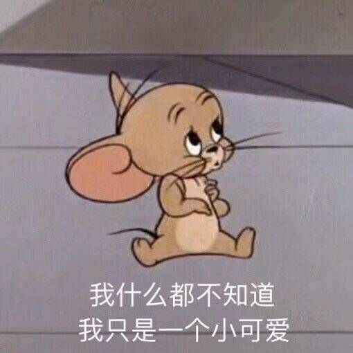哈收藏夹