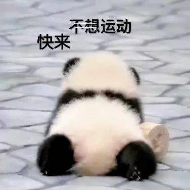 百年星火淬青春体育游园会,邀你来挑战