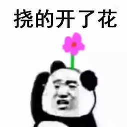 表情包我性格腼腆,你们别逼我