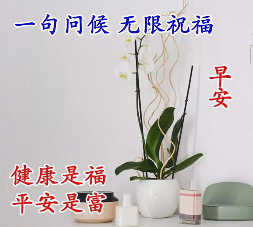早晨最经典的早安祝福语带图片最新出的早安优美问候语