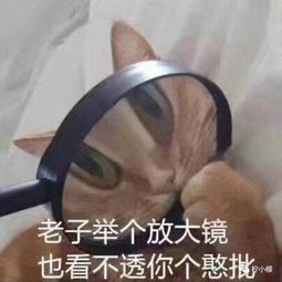 千万不要随意晒朋友圈截图会笑死人的啊哈哈哈哈哈哈