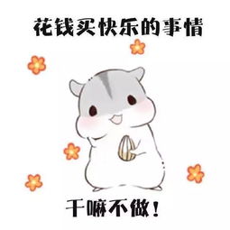 拿好不谢雅美双11抢购攻略,一年一次别错过啦