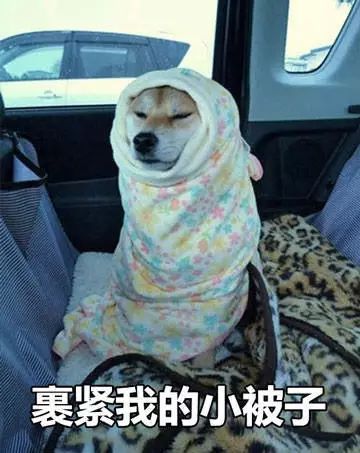 急报德庆发布寒冷黄色预警信号,入冬以来最强冷空气杀到...