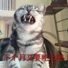 败家女记者比较双11爆款线上线下价格后,关上了购物车...