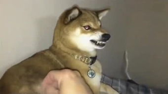 liuchiyin的个人频道