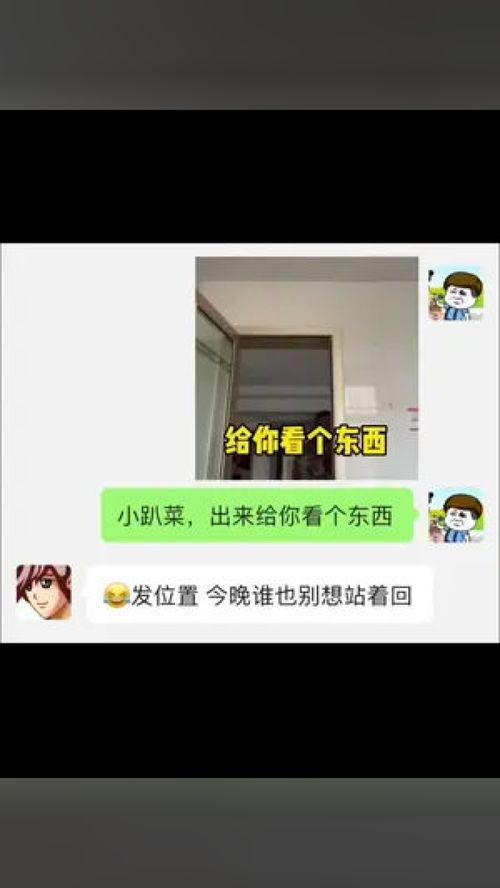 小趴菜出来喝酒喝酒表情包套路表情包搞笑