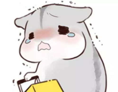 云南一马路中间出现石塔,搬走1次回来1次结局和想象的不一样