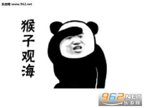 熊猫功夫白鹤亮翅招式表情包大全武功招式表情包熊猫高清无水印下载乐游网游戏下载