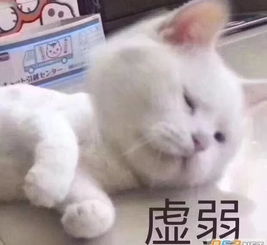 幼儿园38名儿童呕吐不止这种病毒来势汹汹,危害很大