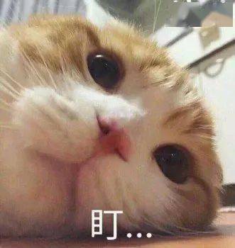 平顶山惠聚鹰城乐享生活第二期电子消费券即将开领