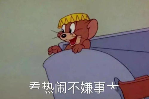 惊喜好礼就宠你