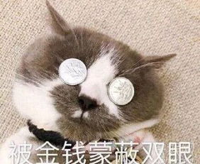 财大的女生单身太久会变成什么样