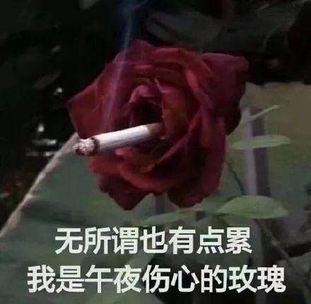 那些拼命减肥的人,最后都笑死在瘦身视频的评论区里了
