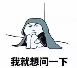 北京100万套空置房数据太敏感胡景晖可能保守了全国到底多少空置房