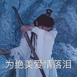 苏宁双十一狮晚快讯肖战王一博再会江湖