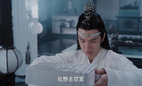 陈情令第51集,忘羡开始婚后生活过年了,魏婴给蓝湛送了惊喜
