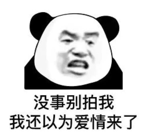 日常斗图熊猫头表情包