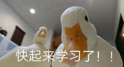 从三次六级320到英语一80分的逆袭,你也可以
