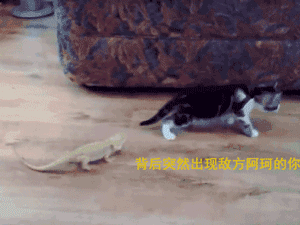 一组王者荣耀动态表情包