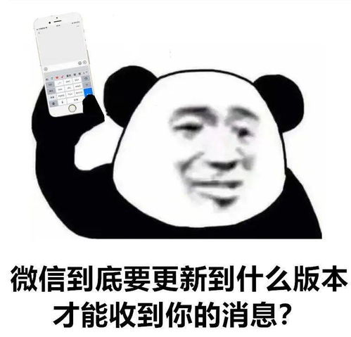 熊猫头表情包i能不能转个账买草莓,下次见面还你脖子上