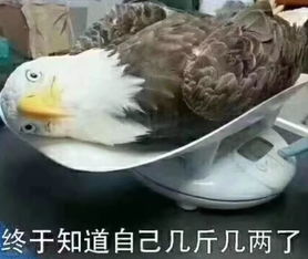 寒冬来袭你想要的塑形攻略来喽
