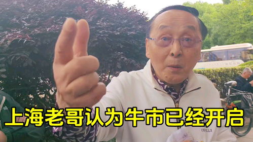 上海老哥认为已经做了五年大底,牛市马上全面到来,大家认同吗