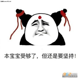 以前驾校有棵树我去了就没了图片考驾照的体验表情包下载乐游网游戏下载