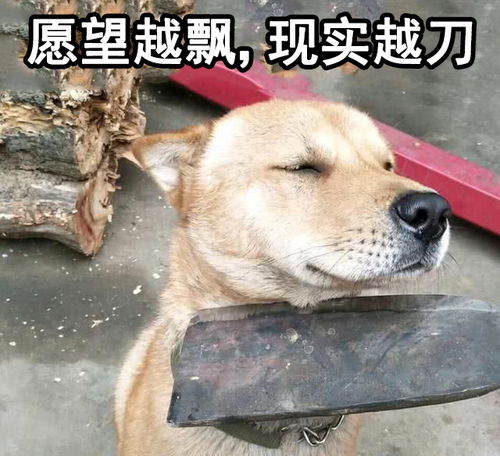 说说你曾经给自己定的愿望,三十岁要达成的目标