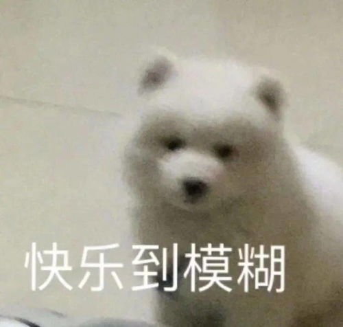 狗头人系列表情包甩饼