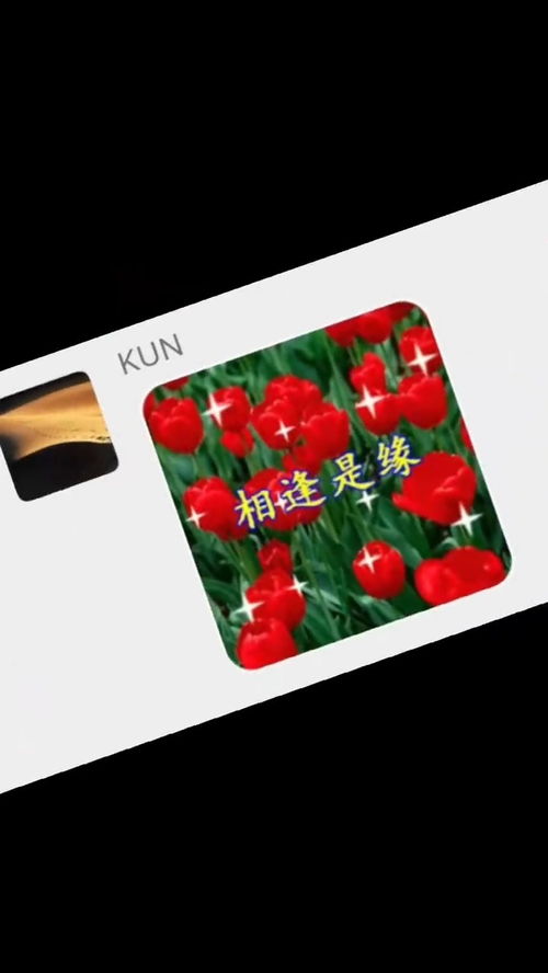 奔跑吧第十季群聊式官宣李晨baby郑恺沙溢蔡徐坤白鹿花式表情包斗图趣味拍一拍,信息量真是太大了