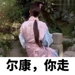 尔康不要表情包