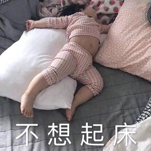 表情包我没醒我还在睡,不想起床