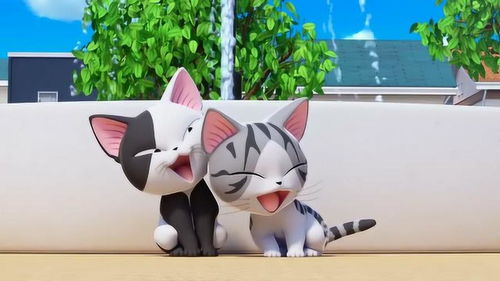 甜甜私房猫安不见了,小奇快点帮特里找找安吧