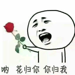 不被看好的cp巨蟹女天秤男