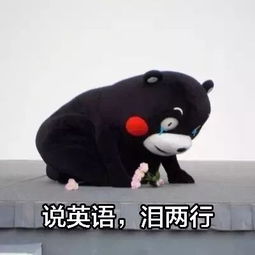 2018年还剩3天,学医学英语绝不拖到明年