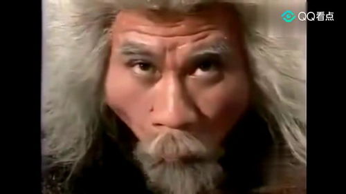 神雕侠侣杨过看到两人再次交手,竟然露出这个表情,给力