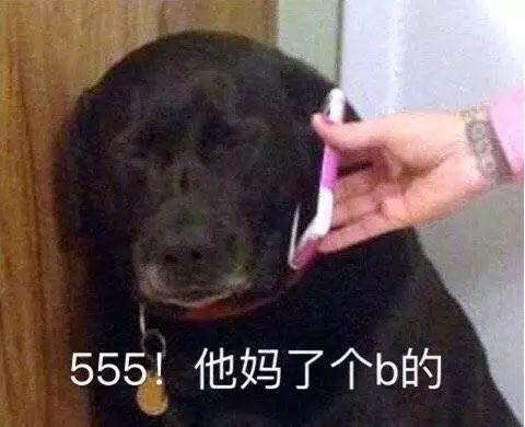 经典搞笑斗图表情包你好坏哦我好喜欢