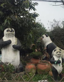 史上最魔性老虎雕像,因为太滑稽而被拆然而它的表情包火了