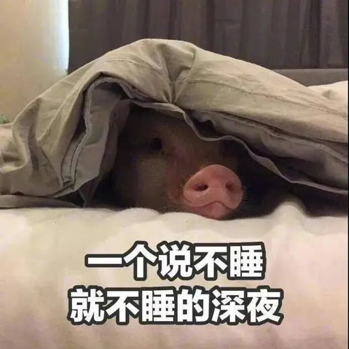 在把我家的监控拆掉