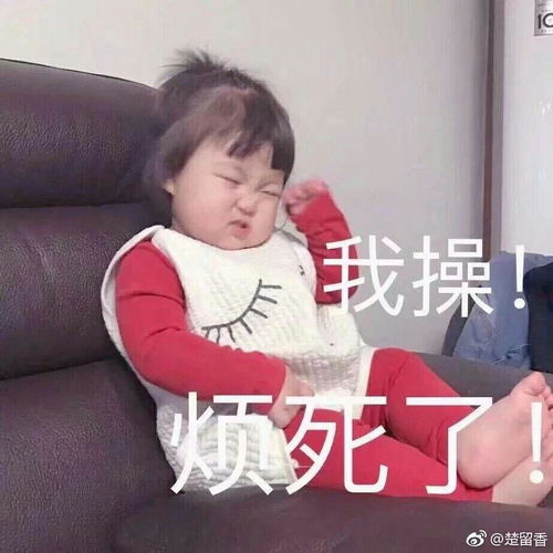 玉林人养狗吗
