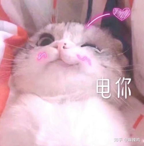 小趴菜表情包如何下载开心一笑