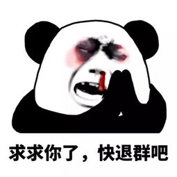 4大表情包聊天鄙视链,你在哪一环