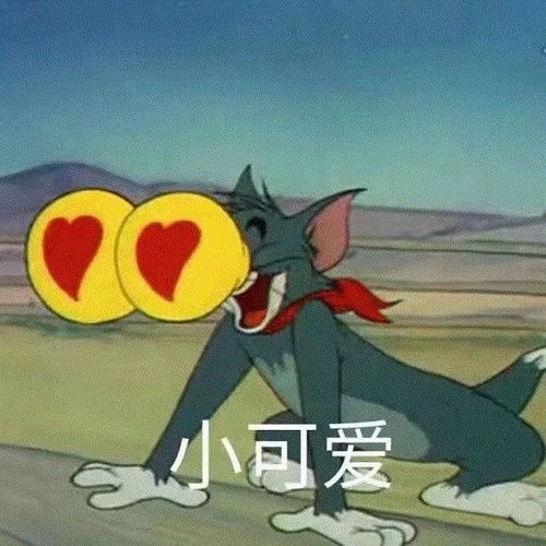 我的收藏
