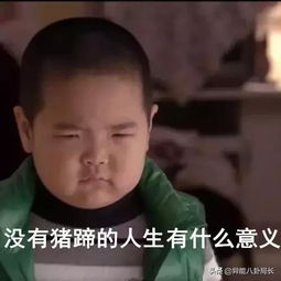 横扫朋友圈的表情包的小巨头们,现在都怎么样了